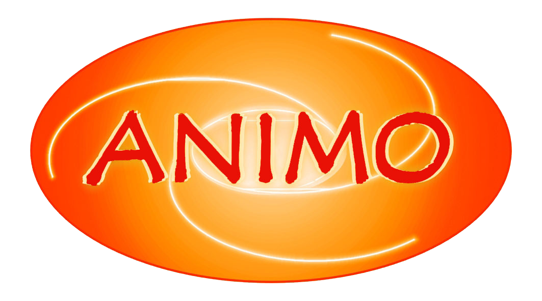 ANIMO-Verein für Rehabilitations- und Gesundheitssport e.V.